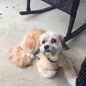 Meet your Posher, Sharon